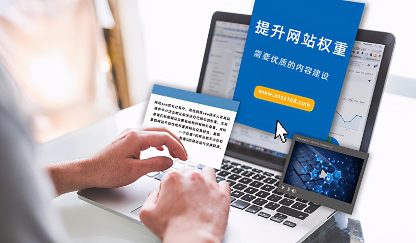 1684292210180452.png 鲨皇seo是如何把权重0做到权重7的?